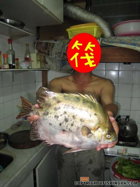 筏~~~~