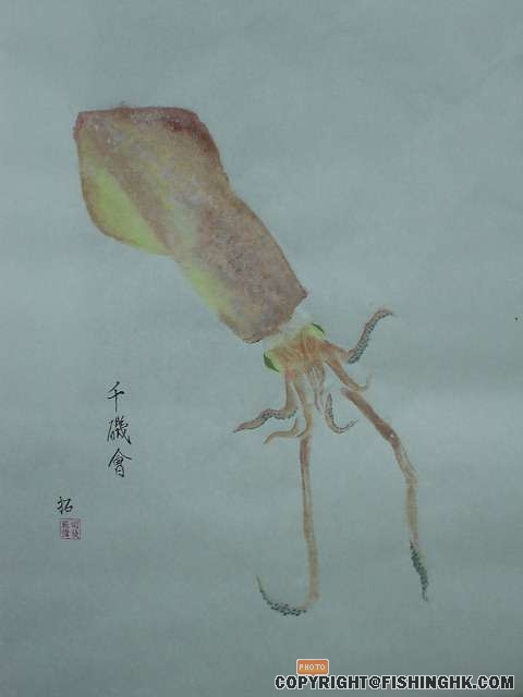 加料...送埋俾大家睇下..第二隻火箭魷
