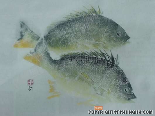 劃埋眼又完成作品lu..失落