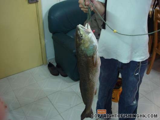 DSC02317.JPG
