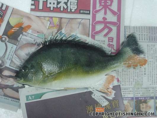 第二拓上色又開始完成