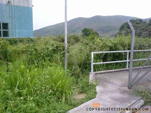 Walk through from here