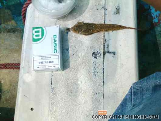 IMG004.JPG