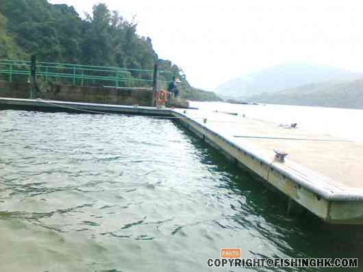 IMG006.JPG