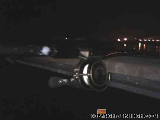 IMG013.JPG