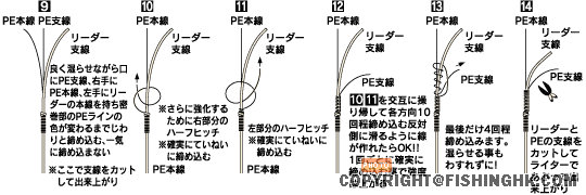 eepp13.gif