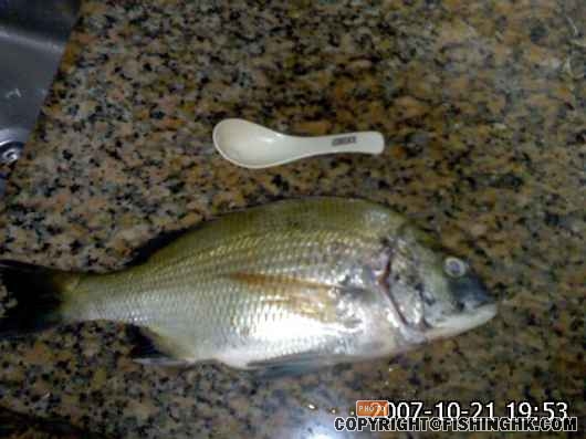 IMG030.jpg