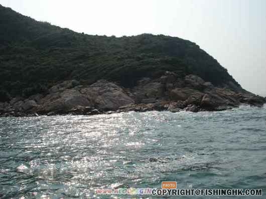 ViewFile0004.jpg