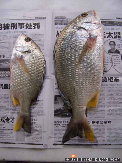 待整理综合图片 048.jpg