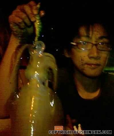 画像   -0004_001.jpg