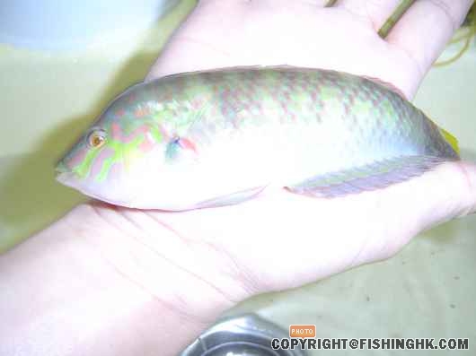 照片 269.jpg