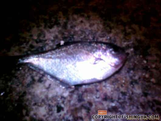 20071102_00438.jpg