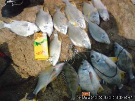 05-11-2007 大澳.jpg