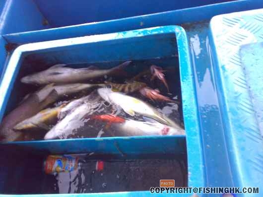 fish 005.jpg