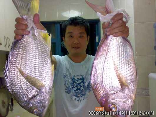 fish 007.jpg