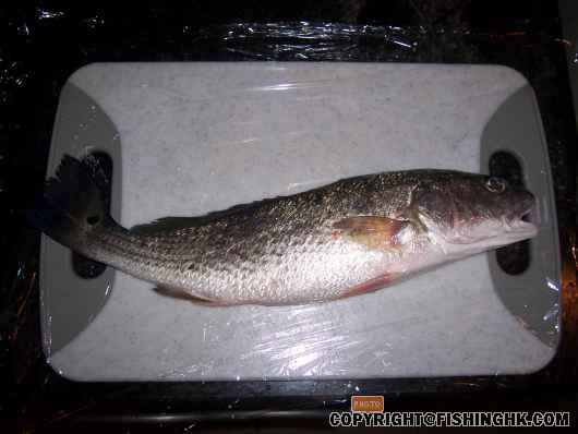 條魚好鬼瘦