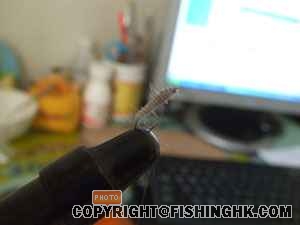 DSCF2081.JPG