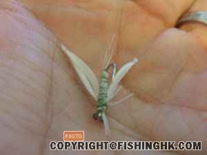 DSCF2085.JPG