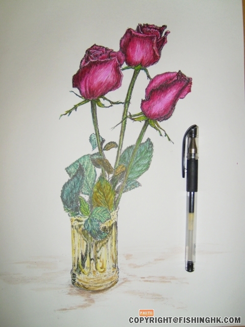 S7000590.JPG