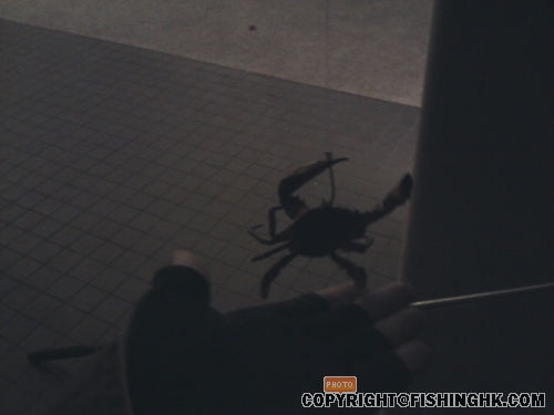 IMG051.JPG