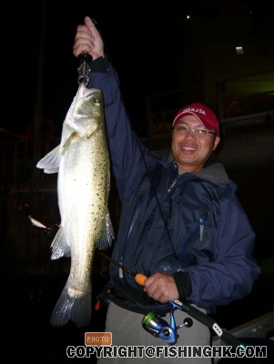 2007埋齋seabass,6lb,69cm