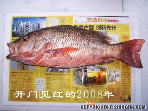待整理综合图片 075.jpg