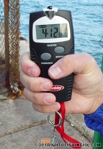 P1010731a.jpg