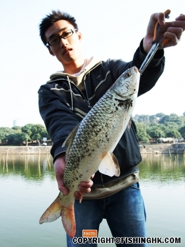 20080107_c94723f3a13d05c68a22S2ygnyjzmkxx.jpg