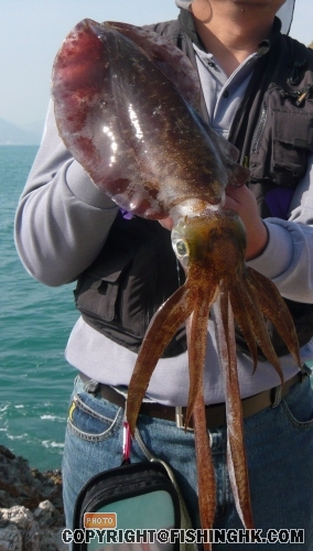 01-06-2008魷7.jpg
