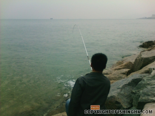 IMG012.JPG