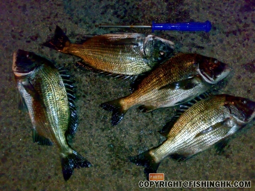 黑沙1.jpg