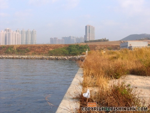 IMG_1755_resize.JPG