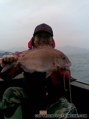 前日條魚仔