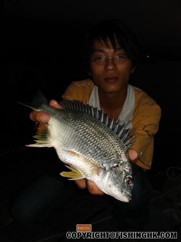 cb06 (Small).JPG
