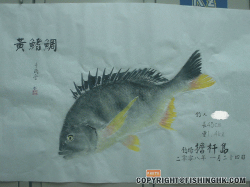 照片-038.gif