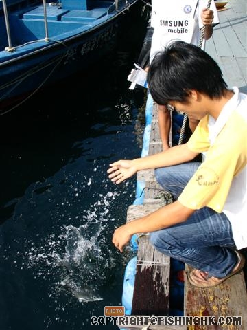 cb31 (Small).JPG