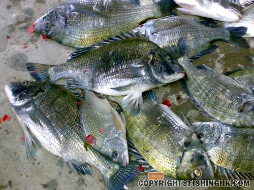 20080207153.jpg