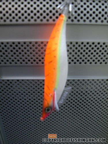 DSCN1700.JPG