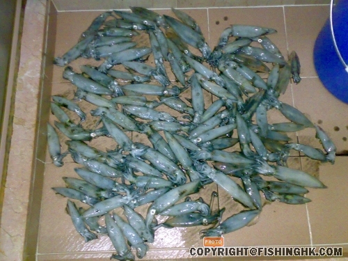 20080307117.jpg