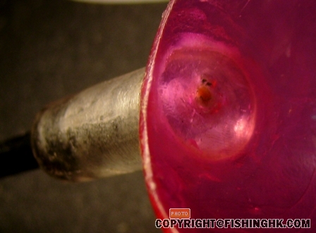 S7001491.JPG