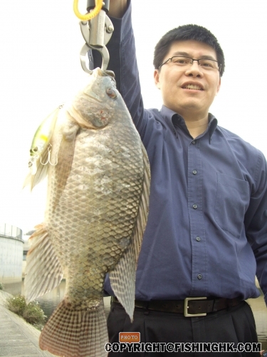 IMGP2222.JPG