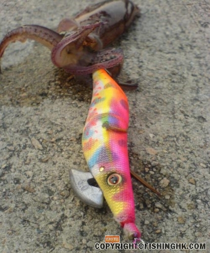 5.JPG