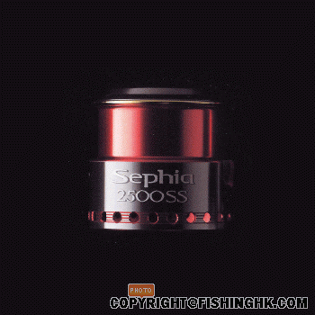 6102003-290_1.gif
