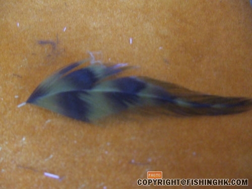 DSCF2298.JPG
