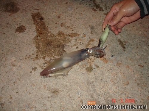 DSC00885.JPG