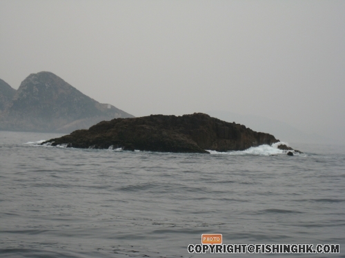 IMG_8456.JPG
