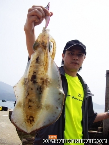 20080316_dd301bff7e3f00a26d85AD4uc3hqJdCP.jpg