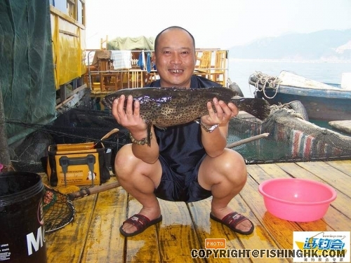 2008331033673112[1].jpg