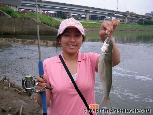 20080117064021740.jpg