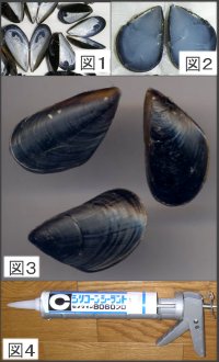 tubu-lure.jpg
